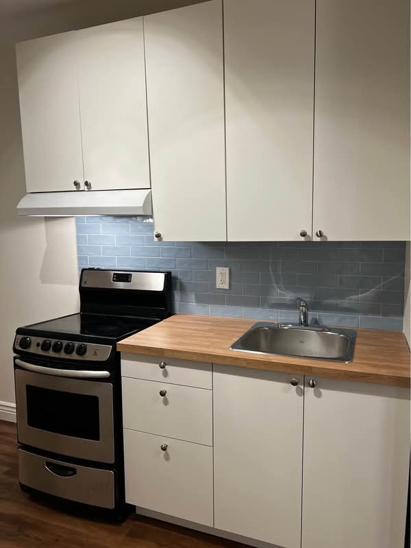 Renovated kitchen in the Trenton one bedroom plus den apartment